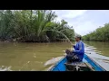 Download Lagu Spot dekat muara laut,tak butuh waktu lama langsung disambar
