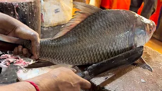 Amazing Fish Cutting Skills || Katla Fish Cutting By Expert Fish Cutter