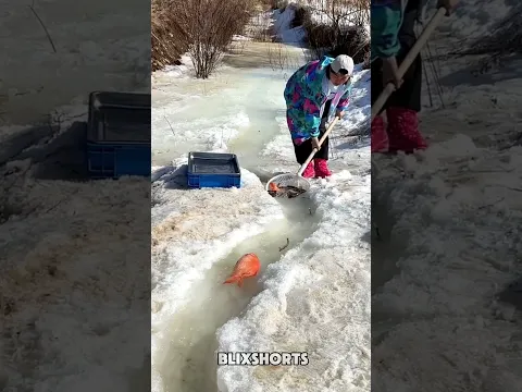 #luckygameplay