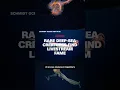 Download Lagu Millions flock to livestream featuring rare deep-sea creatures