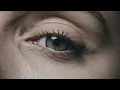 Voices - Avis Vox