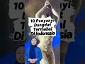 10 Penyanyi Dangdut Termahal di Indonesia #dangdut #artistermahal #shorts #musikindonesia