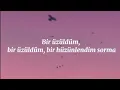 Download Lagu Bı dudaktan Lyrics (Özcan Deniz)