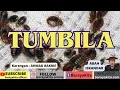 Download Lagu carpon sunda abah iskandar-tumbila
