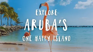 The BIG Aruba Travel Guide 2025