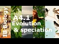 IB Biology - A4 1 Evolution and speciation