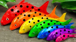 Best Of Small Fish Recipe | MINIATURE Fish Cooking Made EASY with Simple Recipe