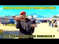 Download Lagu BERBURU MERPATI GIRINGAN DIPASAR NGADIREJO TEMANGGUNG TES TERBANG COCOK BUNGKUS PART 1