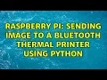 Raspberry Pi Sending image to a Bluetooth thermal printer using python