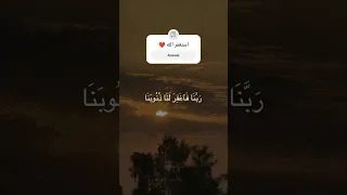 ربنا فاغفر لنا ذنوبنا وكفر عنا سيئاتنا وتوفنا مع الابرار سوره آل عمران للشيخ المنشاوى المنشاوي 