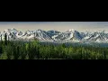 Mammal Hands - Boreal Forest