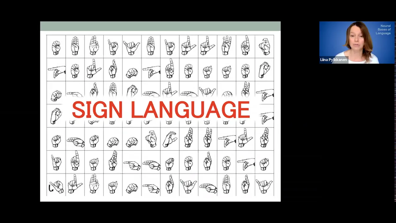 11 SIGN LANGUAGE (24mins)