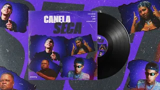Canela Seca - MC Timaia & Ogrand ((DJ WS da Igrejinha))