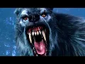 Download Lagu Werewolf Attack Scene - Van Helsing (2004) Movie Clip HD
