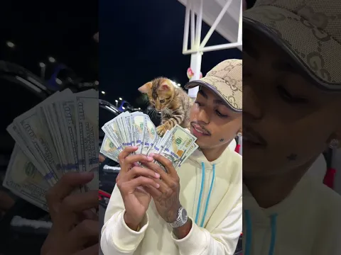 💵🐈