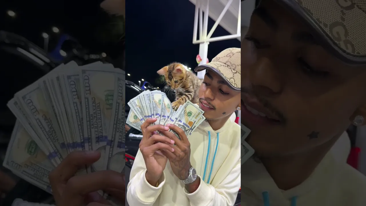 💵🐈