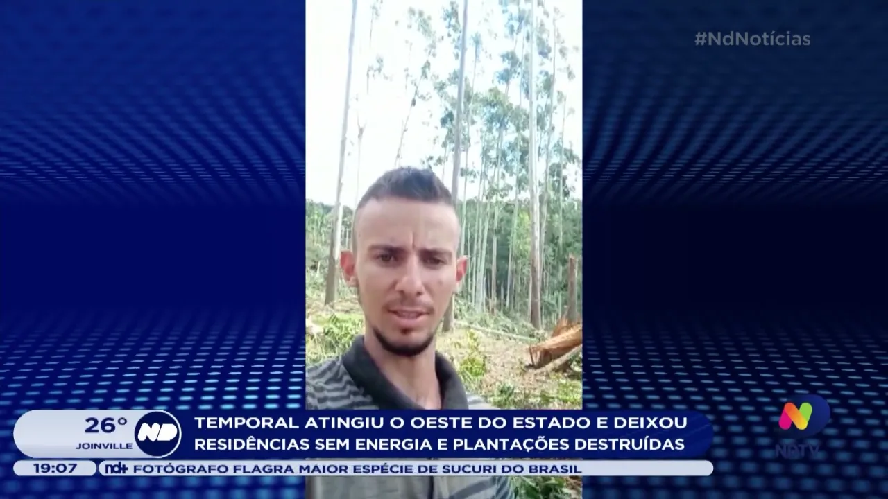 Temporal atingiu o Oeste de SC e deixou residências sem energia e plantações destruídas