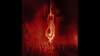 slipknot purity live 1999 webster theater 25th anniversary boxset 