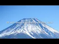 Adele - Skyfall (Lyrics)