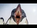 Cursed Images of every animal