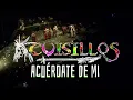 Banda Cuisillos - Acuerdate De Mi ( En Vivo Desde El Auditorio Telmex 2024 )