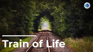 Download Train of Life | Beautiful Life Poetry | Beautiful Mind Channel MP3