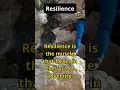 Download Lagu Resilience #shorts  #motivation #psychologyfacts #quotes