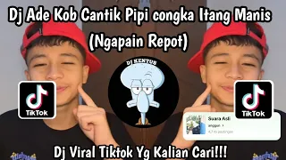 ade ko catik pipi congka itang mandjis dj ngapain repot dj viral tiktok yang kalian cari 