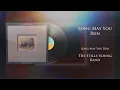 The Stills-Young Band - Long May You Run (Vinyl Visualizer)
