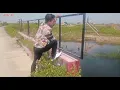 Download Lagu Lagu : Terbaru (Tak sanggup) versi dangdut madura Bikin hati sedih sekali