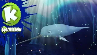 Dive Olly Dive Ice Caps 