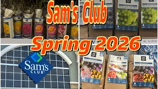 2026 Sam s Club Spring Plants Getting ready for Spring