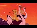 Animash-Cool For The Summer