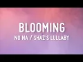 Download Lagu no na - blooming shaz's lullaby (Lyrics)