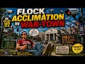 FLOCK Acclimation in WAR TOWN