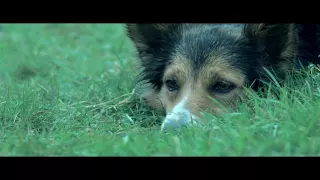 Black Light White Light One Fast Move Or I M Gone 