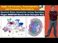 Spatial Data Analysis using Squidpy Vizgen MERFISH Mouse Brain Receptor Map