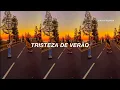 Lagu i wanna be yours x summertime sadness (sped up/tiktok) [tradução]