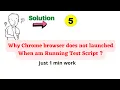 - 5 Why Chrome browser does not launched When I am Running Test Script