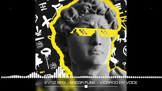 evoz rmx brega funk vidrado em voce