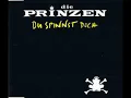 Lagu Die Prinzen - Du spinnst doch (Radio-Mix)