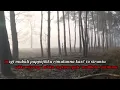 Download Lagu Lennye Jarung Karaoke Version_cipta.fadhly patiroy