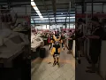 Download Lagu kedatangan SATRIA BAJA HITAM RX ROBO,Saat Acara 17 AGUSTUS di PASAR MODERN PARAMOUNT.