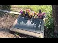 Gravesite of Clyde Barrow Bonnie Clyde in Dallas Texas - August 3 2025