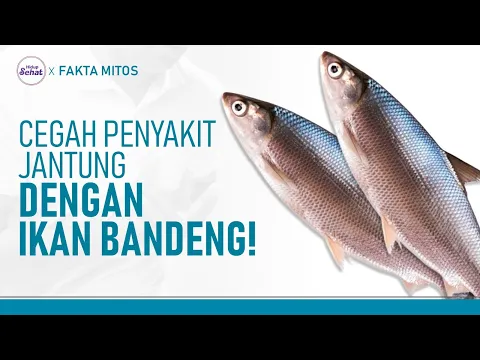 Gemar Makan Ikan Bandeng, Ini Manfaatnya!
