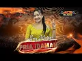 Lagu PRIA IDAMAN - Ning Haniya - ACS PRO AUDIO