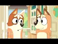 Bluey "Onesies" FULL Episode! 💙 | Bluey and Bingo get Onesies! | @disneyjr