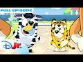 Bluey Onesies FULL Episode Bluey and Bingo get Onesies disneyjr
