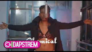 Chemical Ft Zuchu Sukari Video Cover 