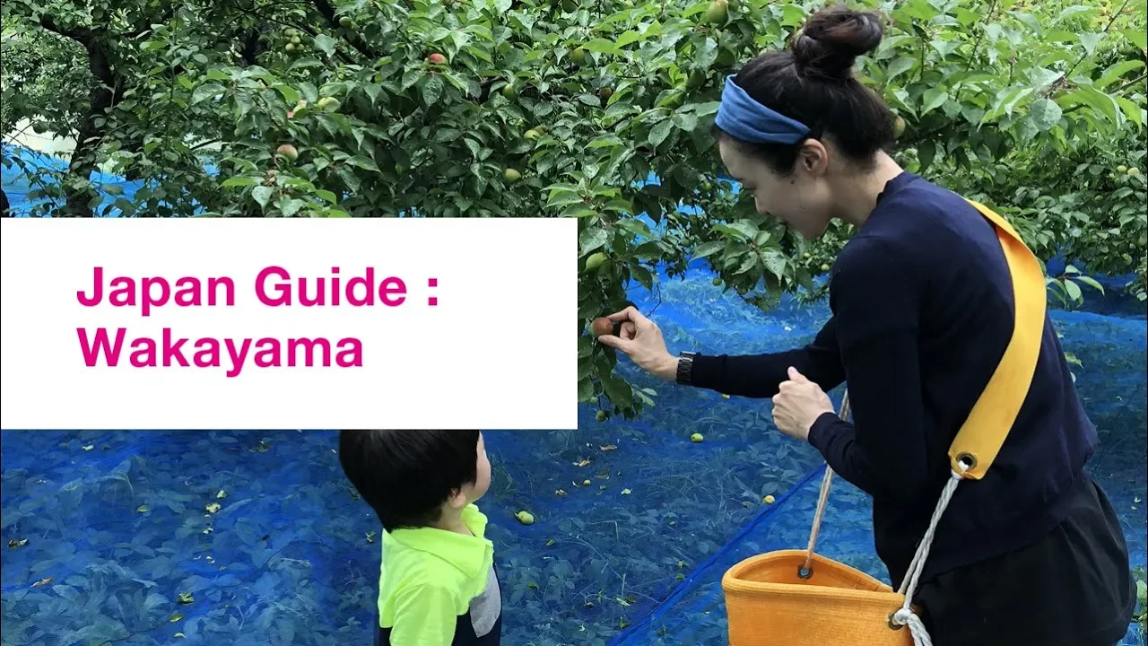 [Japan Vlog] Japan Guide : Wakayama   YUCa